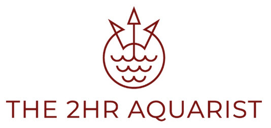 2HR Aquarist 2HR Aquarist