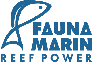 Fauna Marin Fauna Marin